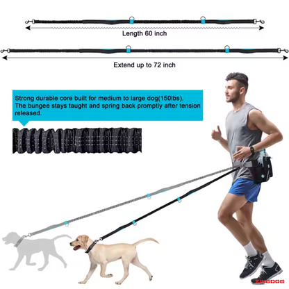 ZINGDOG Hands-Free Dual Dog Leash with Waist Pouch for Running, Walking & Hiking