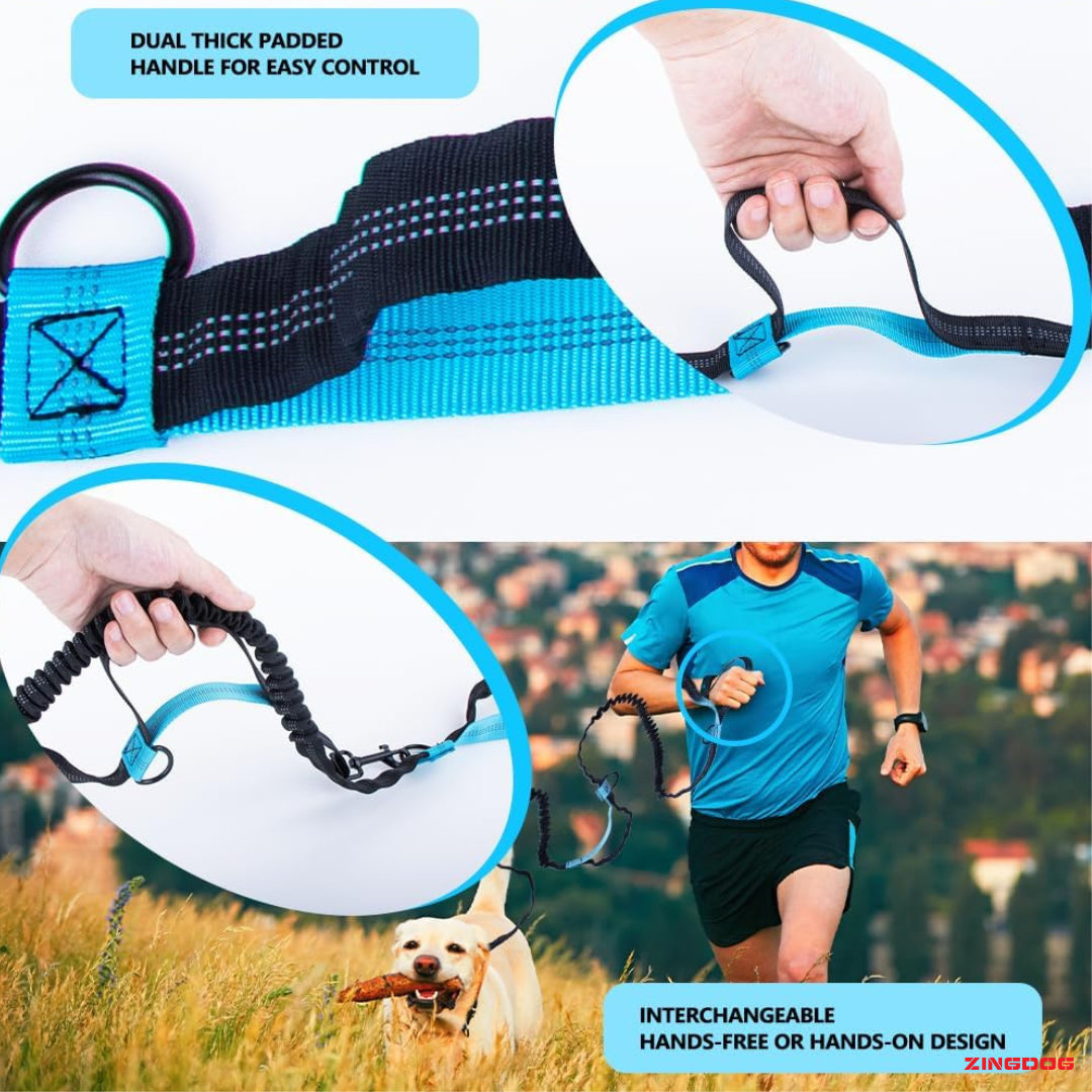 ZINGDOG Hands-Free Dual Dog Leash with Waist Pouch for Running, Walking & Hiking