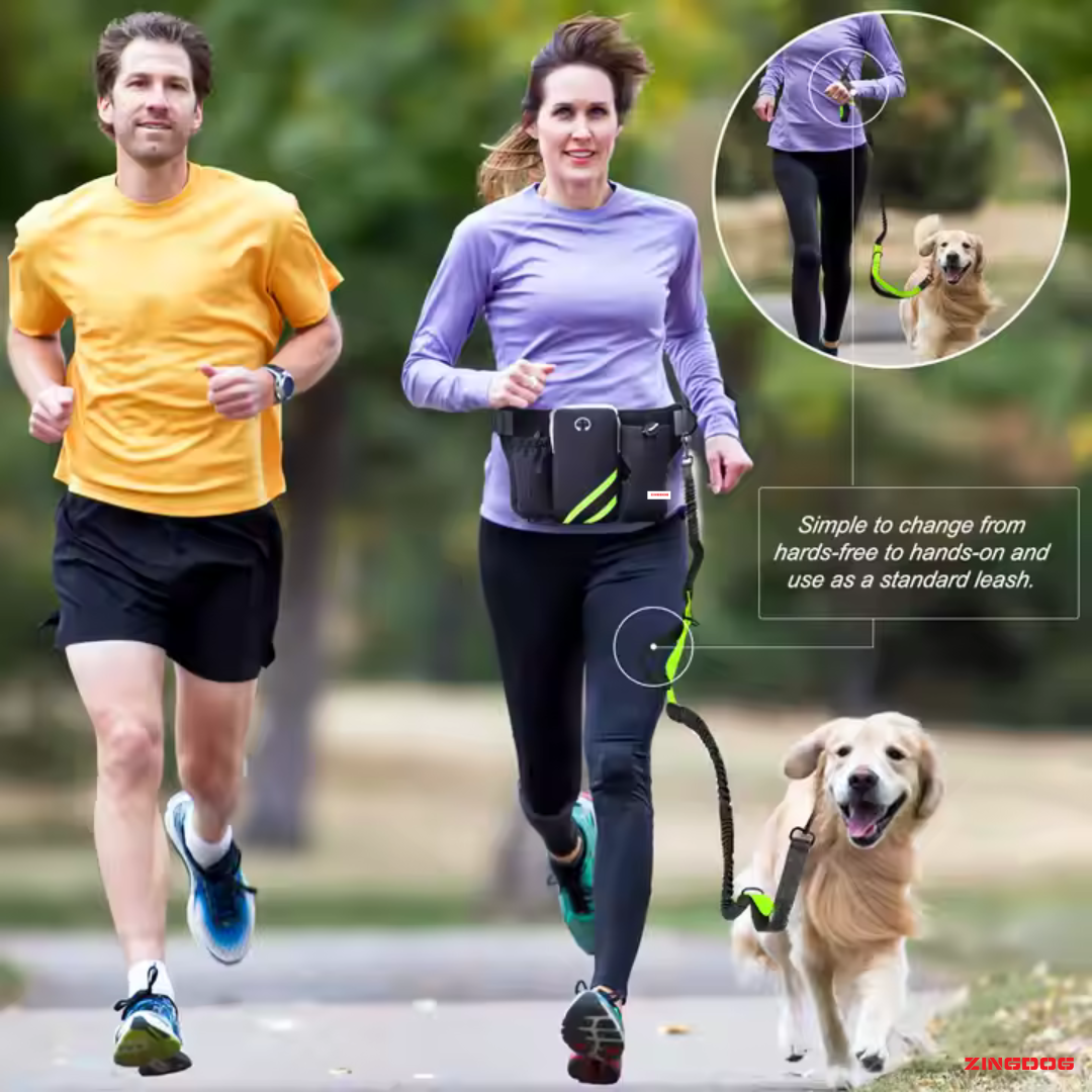 ZINGDOG Hands-Free Dual Dog Leash with Waist Pouch for Running, Walking & Hiking