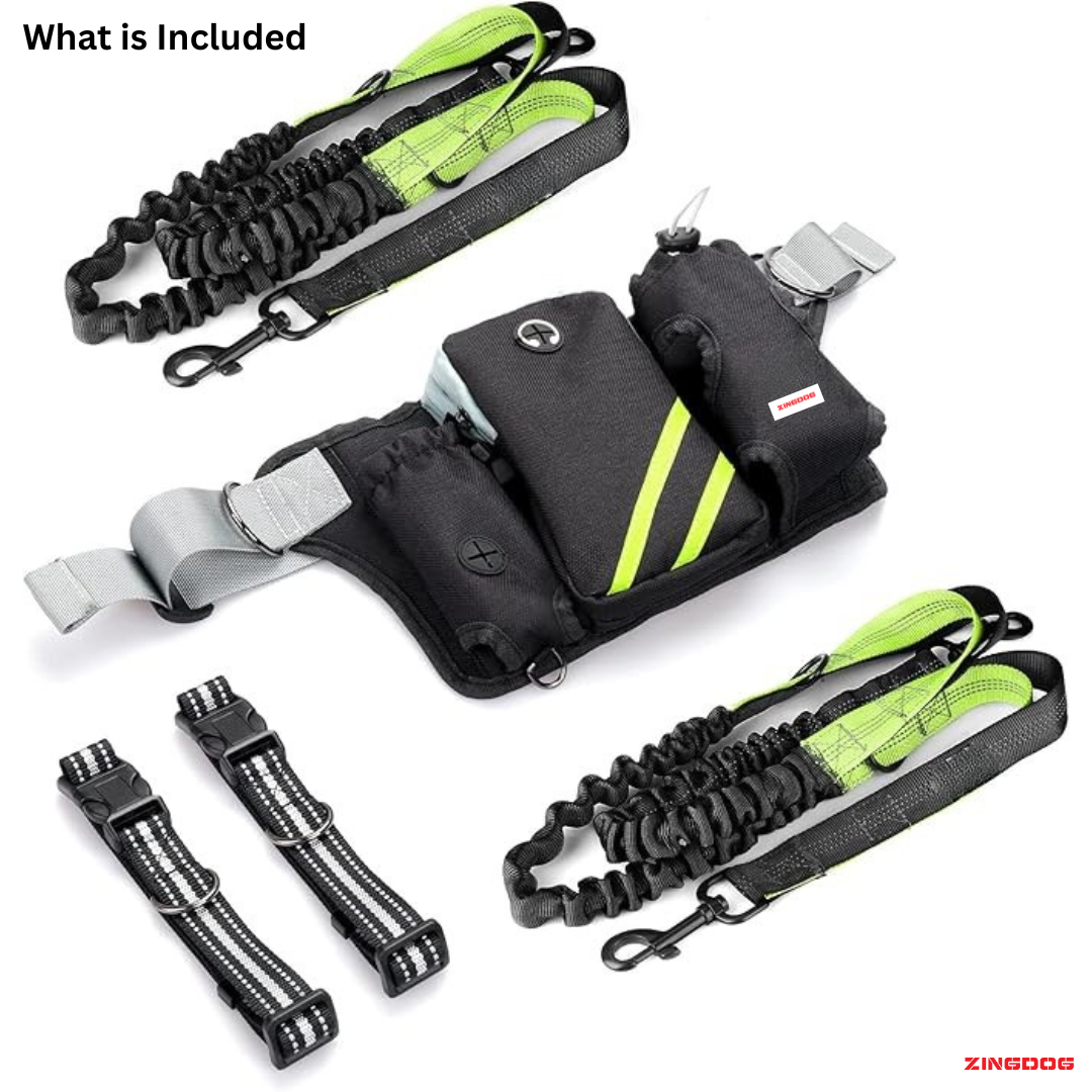 ZINGDOG Hands-Free Dual Dog Leash with Waist Pouch for Running, Walking & Hiking